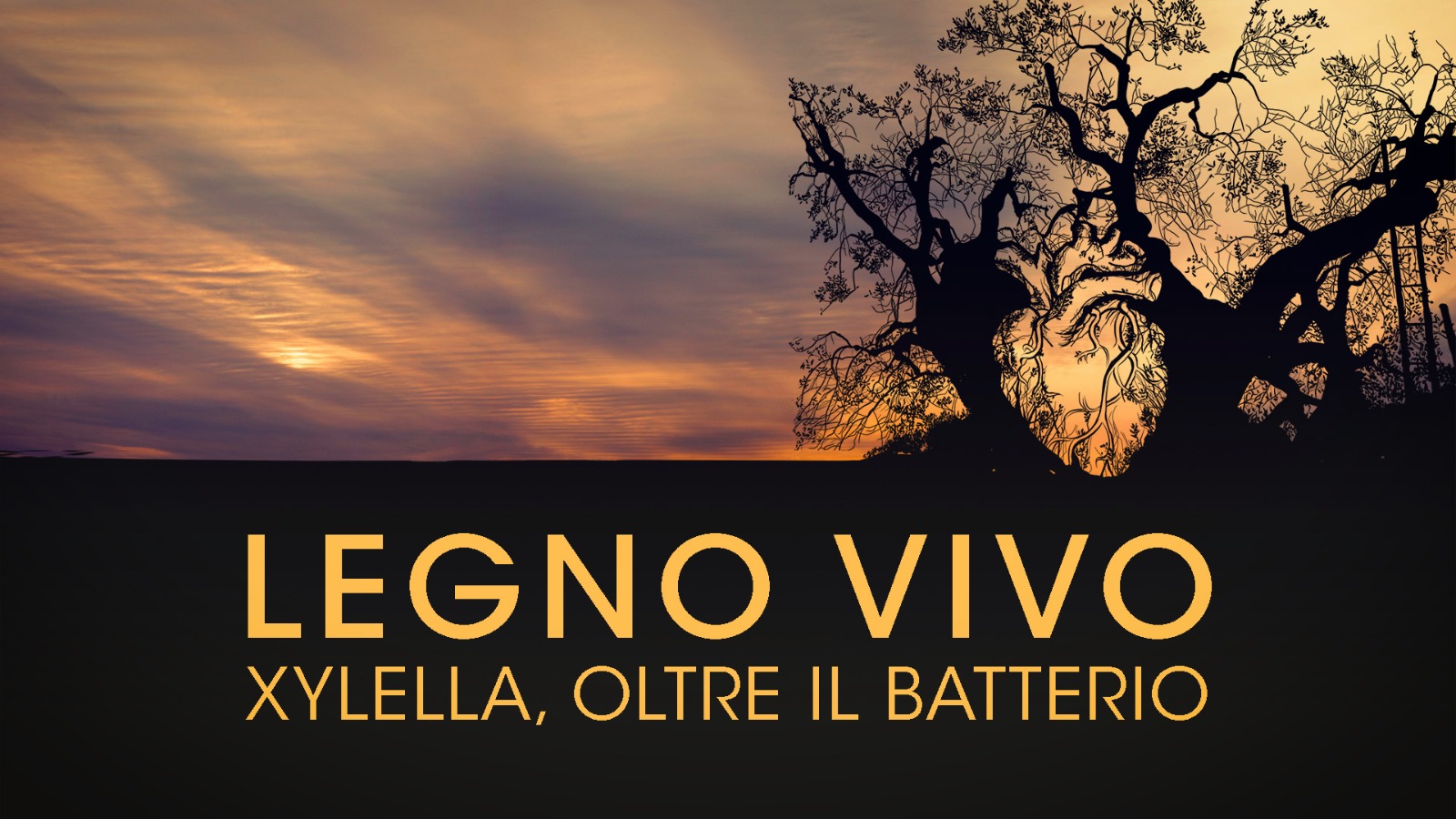 Legno Vivo a Martina Franca
