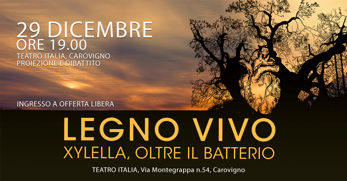 Legno Vivo a Carovigno
