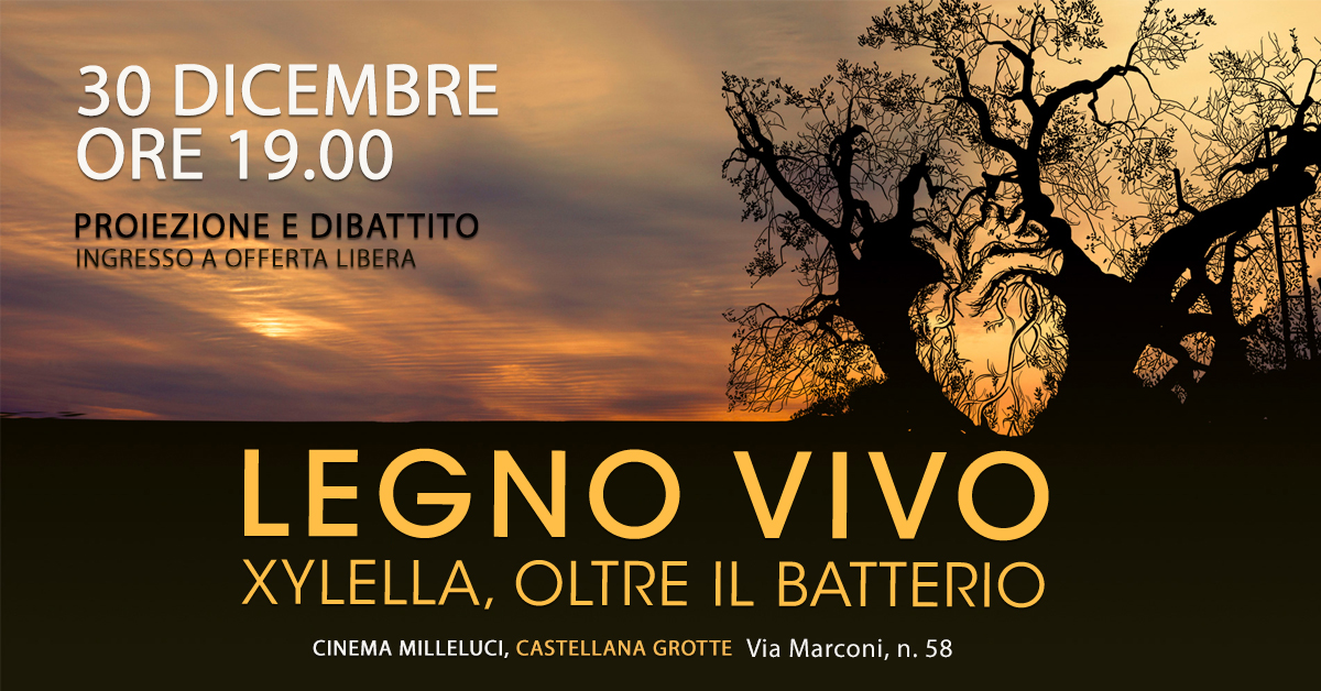 Legno Vivo a Castellana Grotte