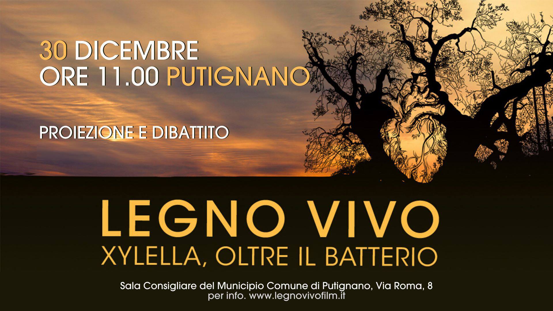 Legno Vivo - Xylella, oltre il batterio a Putignano