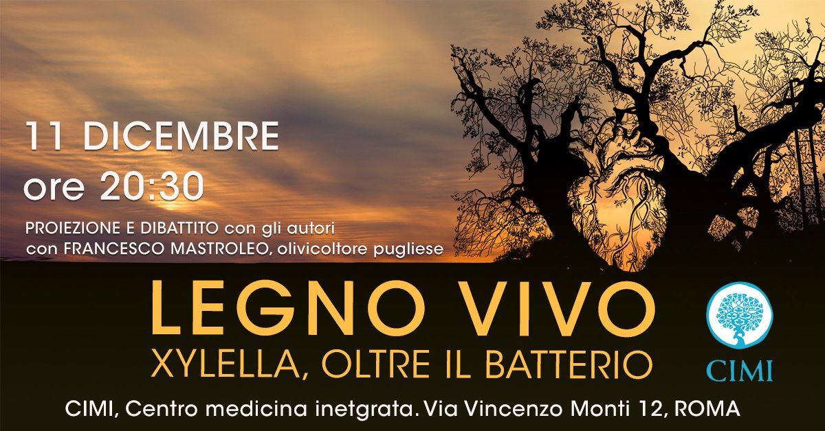 Proiezione CIMI