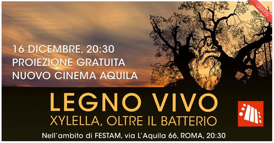 Nuovo Cinema Aquila