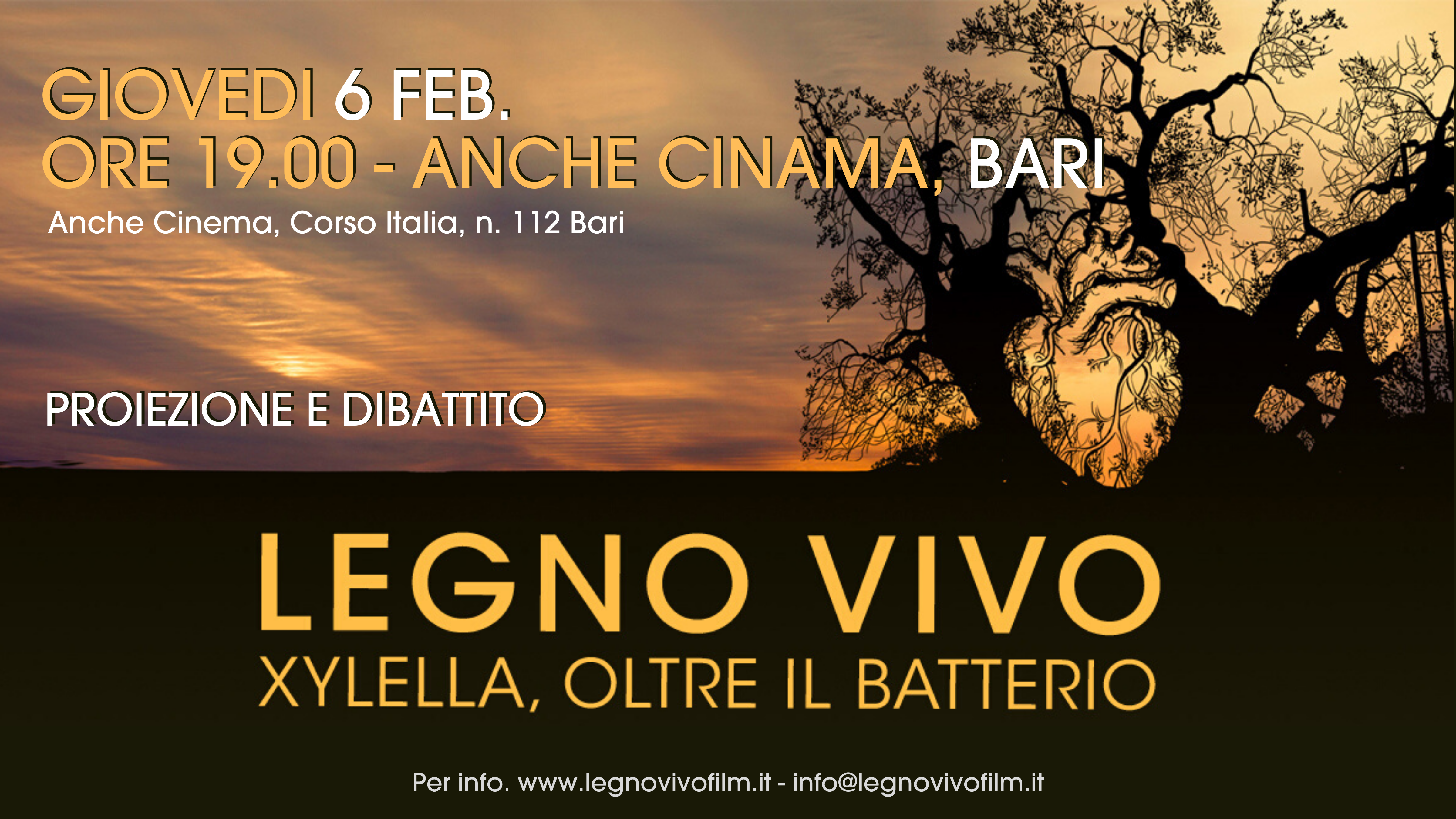 Legno Vivo - Xylella oltre il batterio a Bari