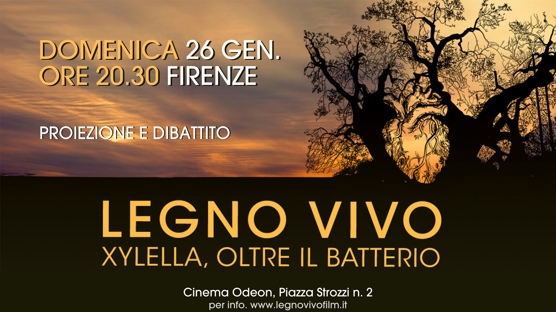Legno Vivo a Firenze