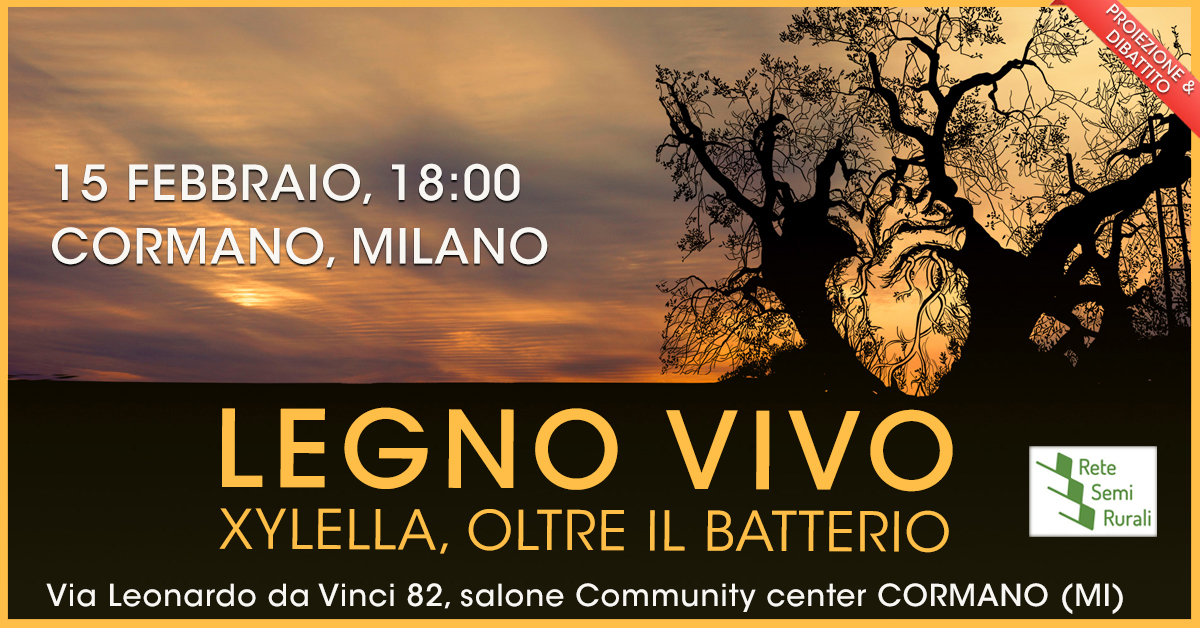 Legno Vivo a Cormano (Milano)