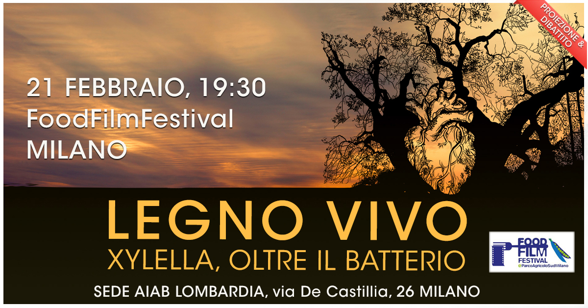 Legno Vivo a Milano